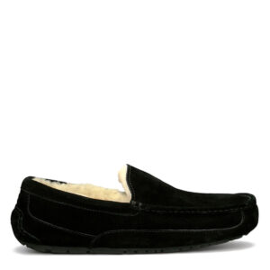 UGG Mens Ascot - Black