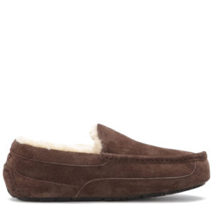 UGG Mens Ascot - Chocolate